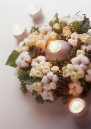 ガチャガチャの森：多彩な商品と豊富な体験を提供する玩具専門店