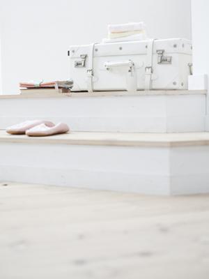 ガチャガチャの森：多彩なラインナップと楽しい体験が魅力の玩具店